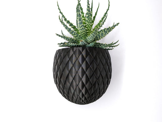 The Dragon Egg Wall Planter Pot - Different Colours available