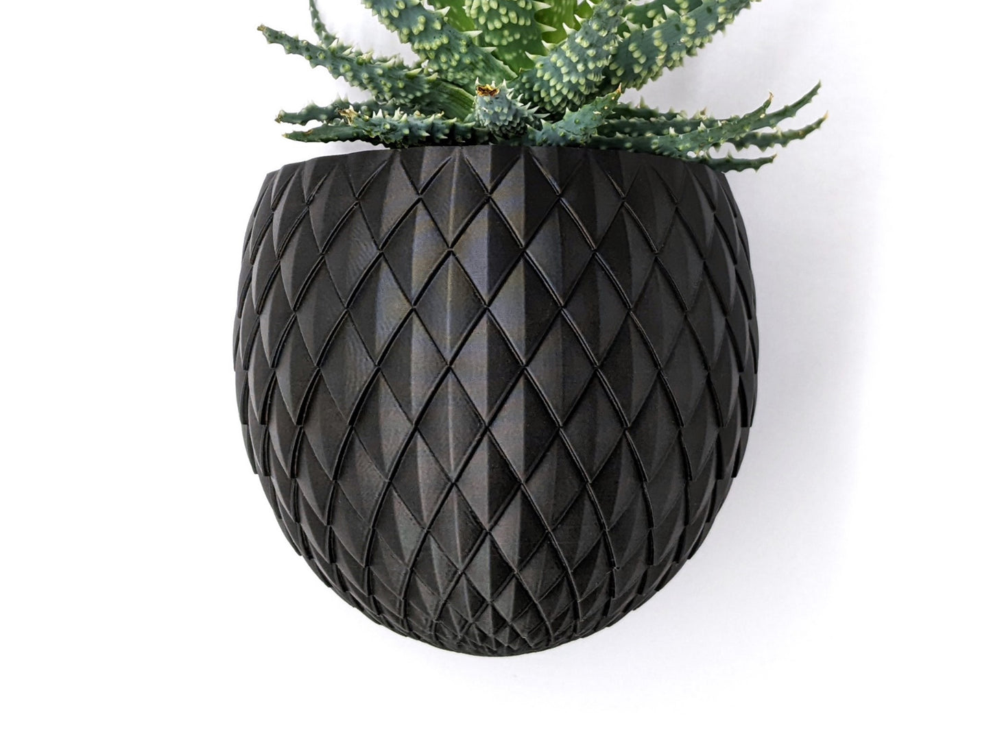 The Dragon Egg Wall Planter Pot - Different Colours available