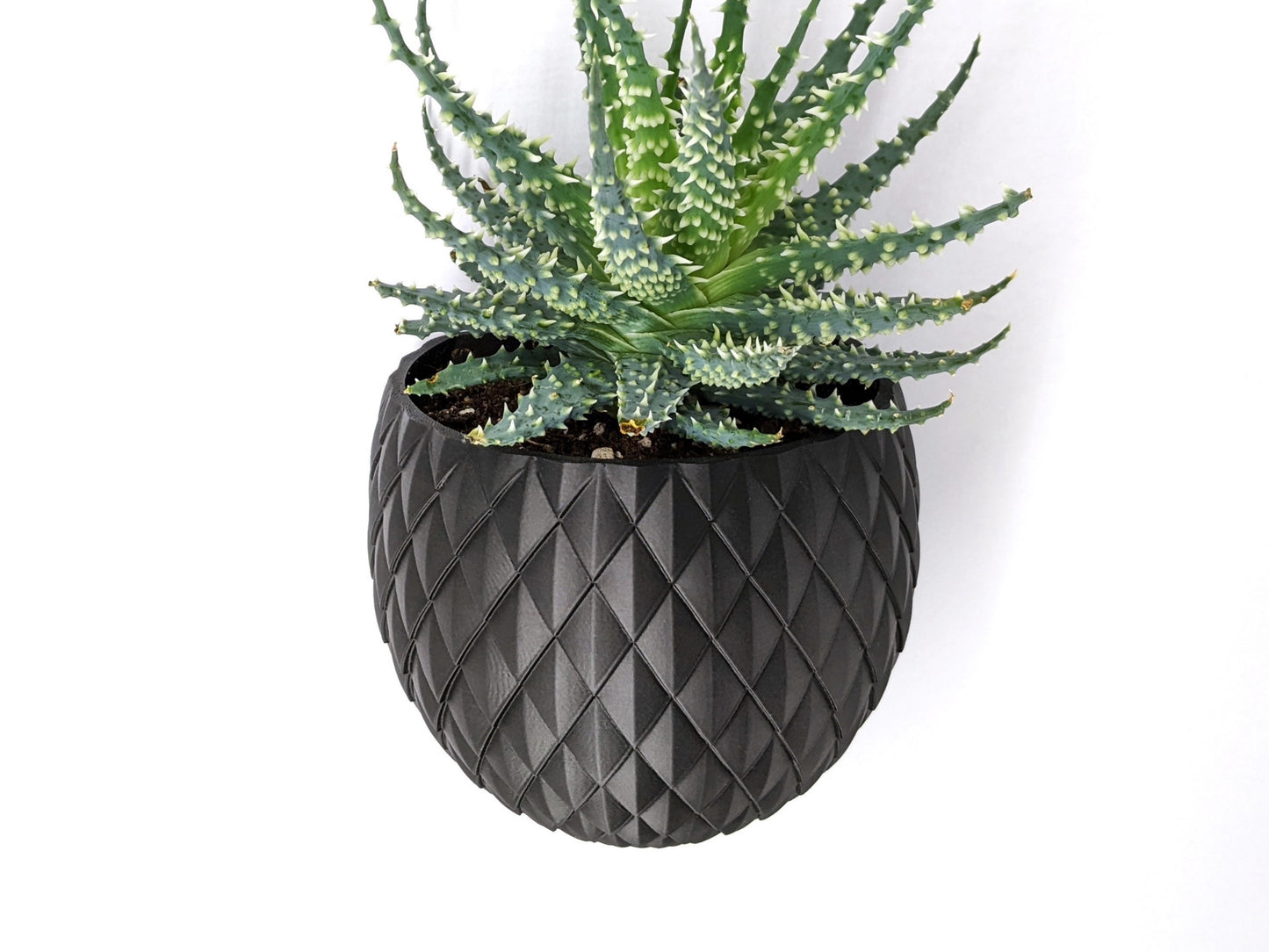 The Dragon Egg Wall Planter Pot - Different Colours available